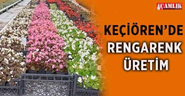 Keçiören Belediyesi modern ve akıllı seralarda mevsimlik rengarenk çiçekler üretiyor