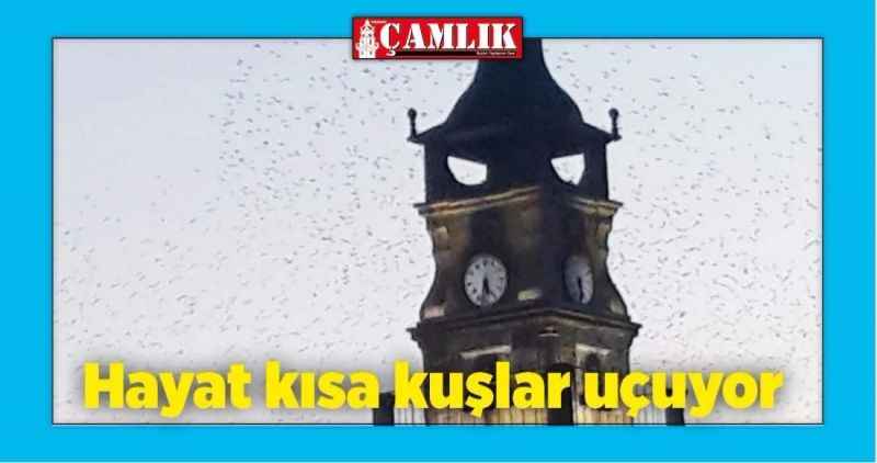Hayat kısa kuşlar uçuyor