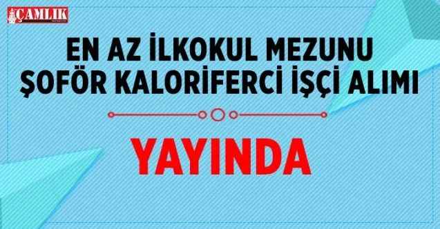 En az ilkokul mezunu personel alımı İŞKUR’da yayında