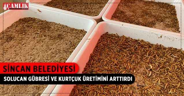 Sincan Belediyesi, tarımsal verimi arttırmak amacıyla Eko-Çiftlik Sıfır Atık Eğitim Merkezi’nde çalışmalarına devam ediyor