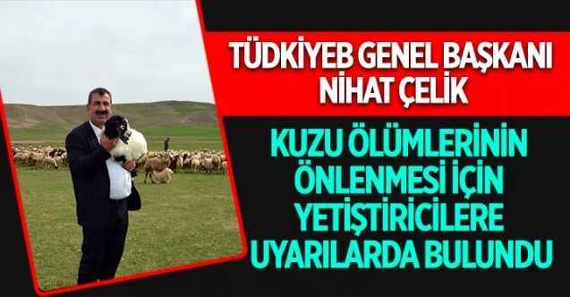 TÜDKİYEB Genel Başkanı Nihat Çelik, doğum sonrası kuzu ölümlerinin önlenmesi için yetiştiricilere uyarılarda bulundu