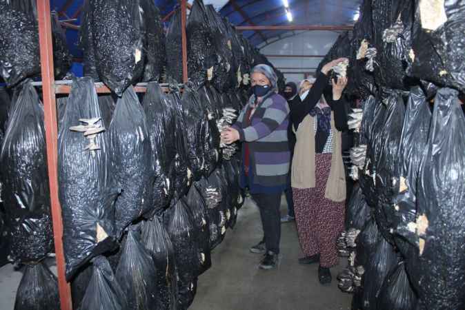 “Çandır’da üretimi istihdamı arttıran projeler ürettik”