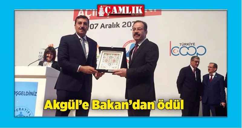 Akgül'e Bakan'dan ödül
