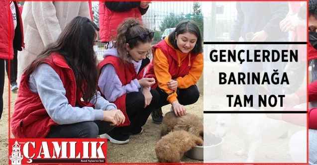 Etimesgut Belediyesi Kent Konseyi Gençlik Meclisi üyeleri Etimesgut Belediyesi hayvan barınağını ziyaret ettiler