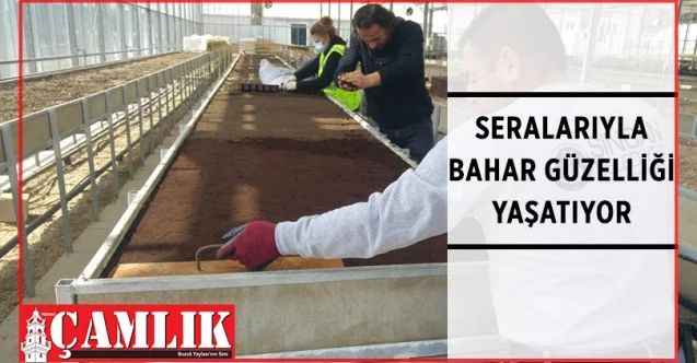 Sincan Belediyesi, kendi seralarında yetiştirdiği çeşit çeşit bitkiler ve çiçeklerle vatandaşlara tam bir bahar havası yaşatıyor