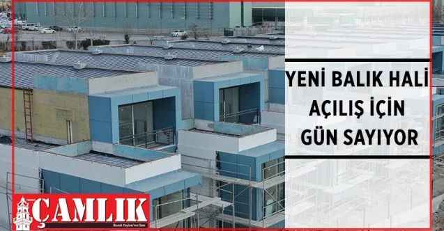 Ankara Büyükşehir Belediyesi uzun bir aradan sonra ilk kez Ankara Toptancı Balık Hali’ni yıkarak yeniden inşa etmeye başladı
