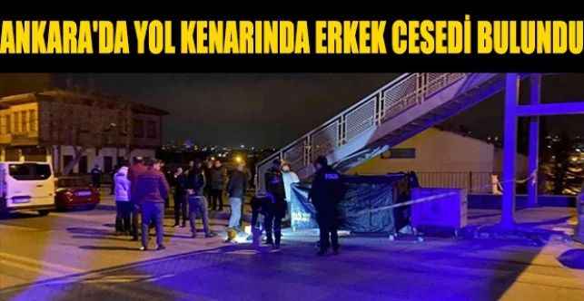 Ankara'da Yol Kenarında Erkek Cesedi Bulundu