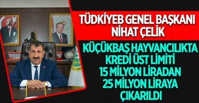 TÜDKİYEB Genel Başkanı Nihat Çelik, Ziraat Bankası ve Tarım Kredi Kooperatiflerince çiftçilere kullandırılan hazine destekli, düşük faizli tarım kredilerine ilişkin açıklamalarda bulundu