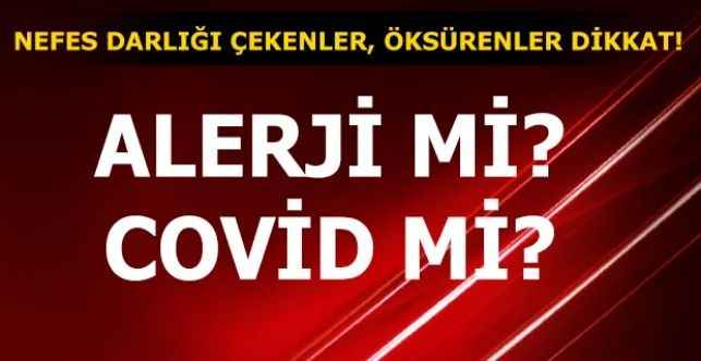 Hem Covid Hem Alerji Olabilirsiniz! Koronavirüs ve Mevsimsel Alerjinin Farkları Nelerdir?