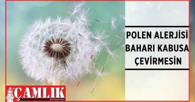 Polen Alerjisi Baharı Kabusa Çevirmesin