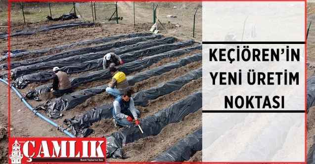 Keçiören Belediyesi, ilçedeki Bağlum bölgesinde bin metrekare alana ‘Üzümsü Meyveler Bağı’ kurdu