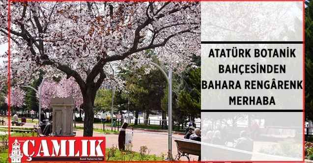 Atatürk Botanik Bahçesi rengârenk görüntüsüyle bahara merhaba dedi