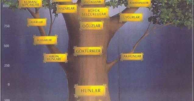 Türklerin Soy ağacı şehir şehir ayrıldı! Siz hangi Türk boyundansınız?