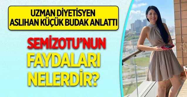 Semizotu Faydaları Nelerdir? Semizotu Nasıl Tüketilir?