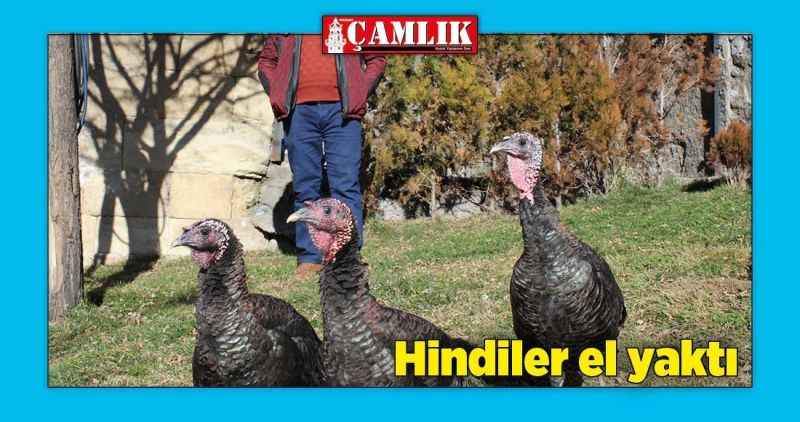 Hindiler el yaktı!