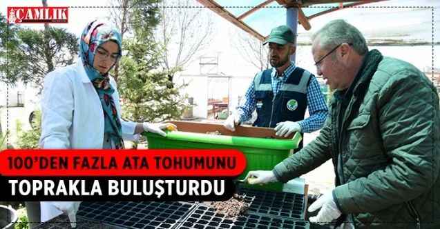 Mamak Belediyesi’nin, yerli ve milli tohum geliştirme çalışmaları devam ediyor