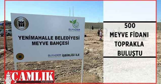 Yenimahalle Belediyesi, Sürdürülebilir Yaşam Derneği (SUYADER) iş birliğinde meyve bahçesi oluşturdu
