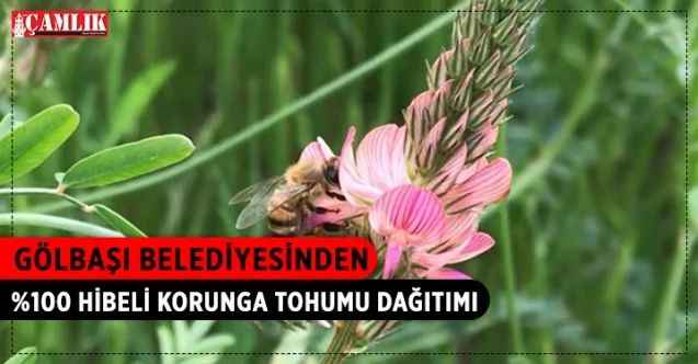 Gölbaşı Belediyesi Çiftçinin Yanında Olmaya Devam Ediyor