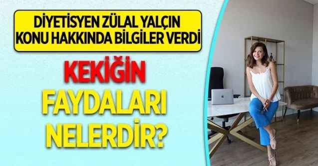 Kekik Nedir? Kekiğin Faydaları Nelerdir?
