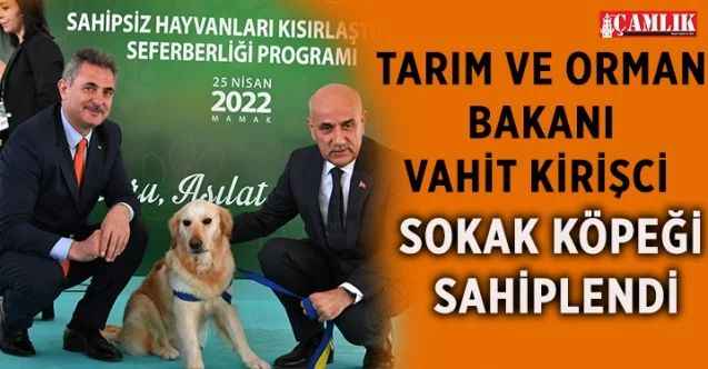 Mamak Belediyesi Sokak Hayvanları Rehabilitasyon Merkezi ve Geçici Bakım Evi’nde “Sahipsiz Hayvanların Kısırlaştırılması Seferberliği” etkinliği düzenlendi