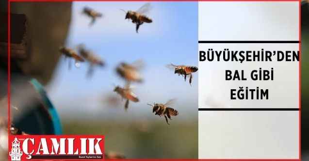 Büyükşehir’den Bal Gibi Eğitim: Arıcılık Eğitimi İçin Son Başvuru Tarihi 29 Nisan