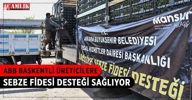 Ankara Büyükşehir Belediyesi, yerli üreticilere sebze fidesi desteği sağlıyor