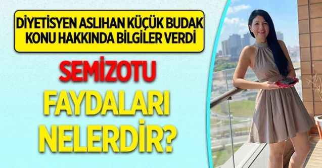 Semizotu Faydaları Nelerdir? Semizotu Nasıl Tüketilir?
