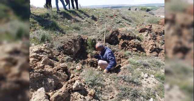 Yozgat’ın Şefaatli İlçesi’nde 3 bin fidan toprakla buluştu