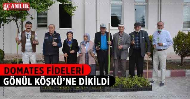 Gönül Köşkü Huzurevi’nde domates fideleri toprakla buluştu