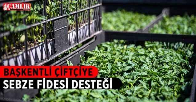 Ankara Büyükşehir Belediyesi, yerli üreticilere sebze fidesi desteğinde bulunacak