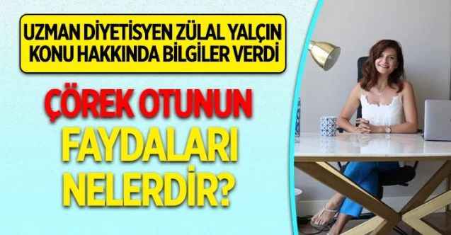 Çörek Otu Nedir? Çörek Otunun Faydaları Nelerdir?