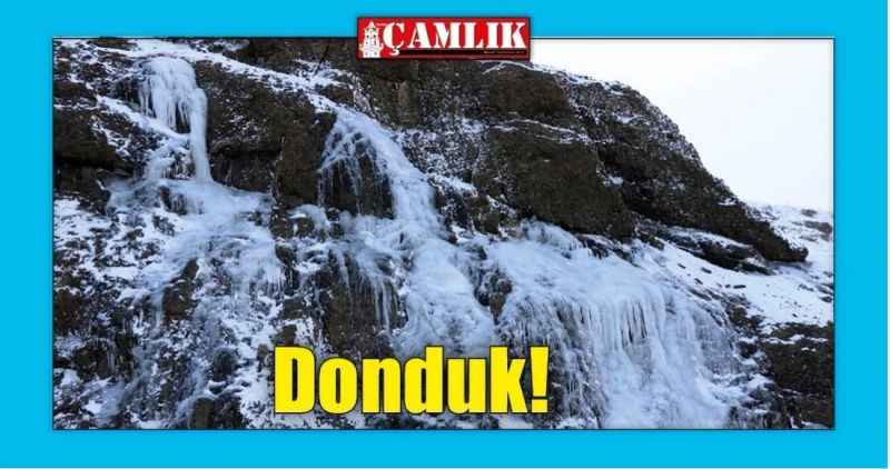 Donduk!