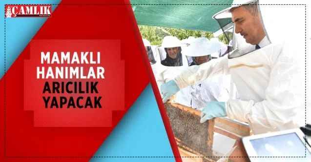 Mamak Belediyesi, arı dağıtımı gerçekleştirdi
