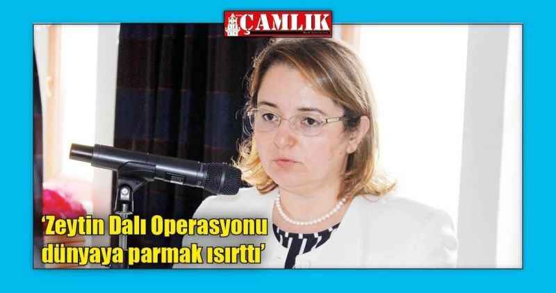 'Zeytin Dalı Operasyonu dünyaya parmak ısırttı'