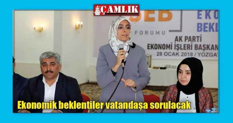 Ekonomik beklentiler vatandaşa sorulacak