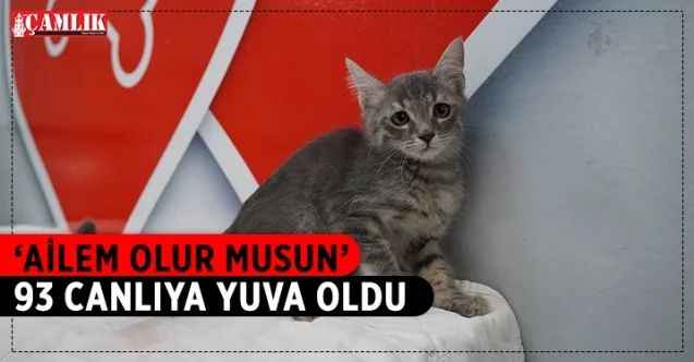 “Ailem Olur Musun?” uygulaması 6 ayda 93 canlıyı yeni yuvalarına kavuşturdu