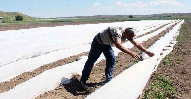Yozgat’ın Şefaatli İlçesi’nde tarım ile uğraşan Mehmet Yalçınkaya, gıda krizinin önüne tarım ile geçilebileceğini belirtti