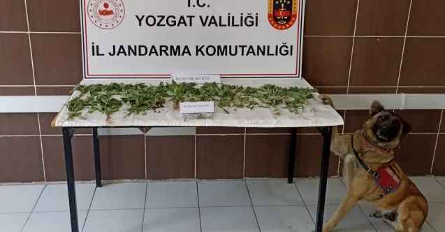 Yozgat’ta Jandarma ihbarı değerlendirdi