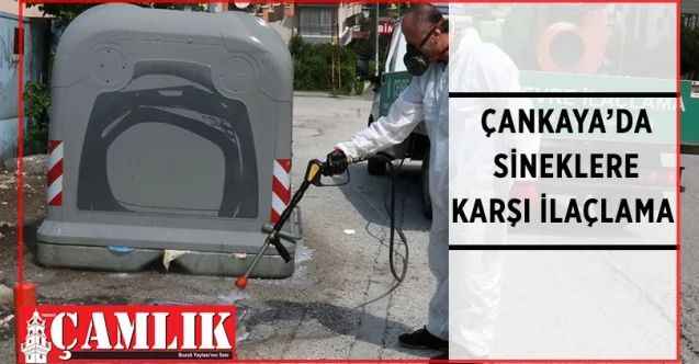 Çankaya Belediyesi sineklere karşı ilaçlama çalışmalarına hız verdi
