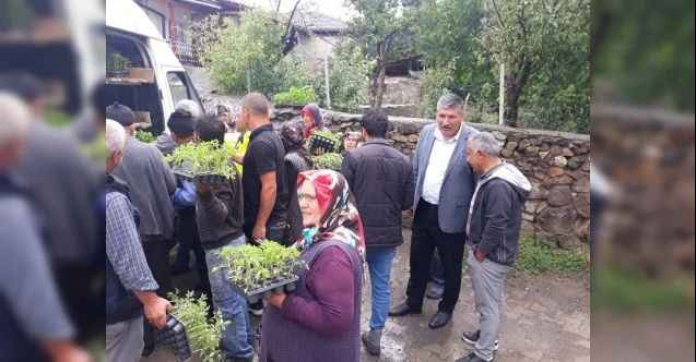 Yozgat'ın Akdağmadeni İlçesi'nde doludan zarar görenlere fide desteği sağlandı