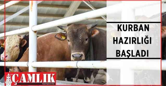 Altındağ Belediyesi Kurban Bayramı için hazırlıkları hızlandırdı