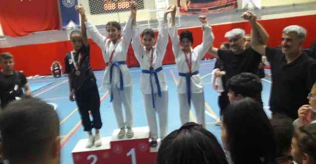Türkiye Taekwondo Şampiyonası minikler il seçmesi yapıldı
