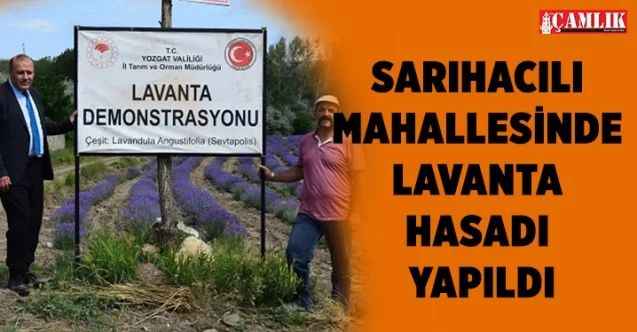 Yozgat Sarıhacılı'da Lavanta Kokacak