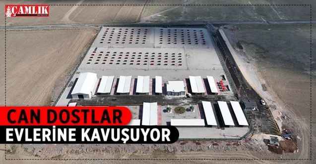 Gölbaşı Belediyesi’nden sokak hayvanları için sıcacık yuva