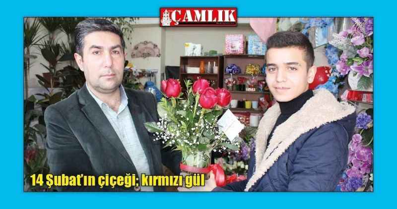 14 Şubat'ın çiçeği; kırmızı gül