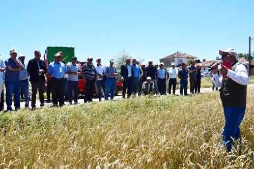 Yozgat Tarım ve Orman İl Müdürlüğü tarafından tarla günü yapıldı