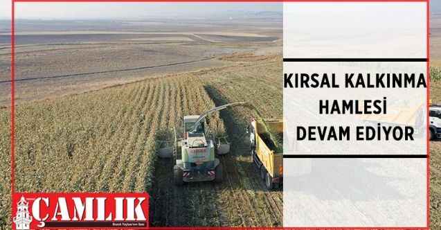 Ankara Büyükşehir Belediyesinden hayvan yetiştiricilerine ücretsiz yem desteği