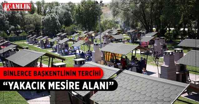 Başkentli piknikçiler Yenimahalle Belediyesi Yakacık Mesire Alanı'na akın etti