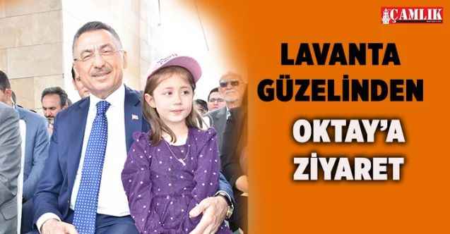 Cumhurbaşkanı Yardımcısı Fuat Oktay'a Çekerek'te hemşehrilerinden büyük ilgi
