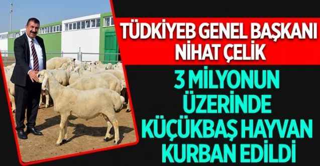 TÜDKİYEB Genel Başkanı Nihat Çelik, Kurban Bayramı sonrasında küçükbaş hayvan kurbanlık satışlarına ilişkin birtakım değerlendirmelerde bulundu